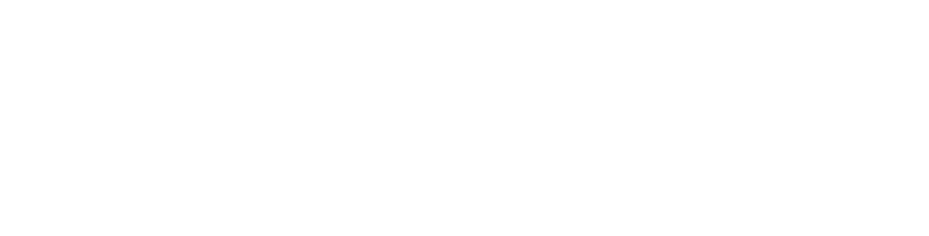 Logo blanco Marcela Barbotto sanación y reconexión